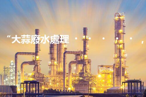 “大蒜廢水處理，綠色環(huán)保新篇章”